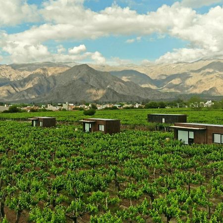 El Porvenir Wine Lodge 卡法亚特 外观 照片