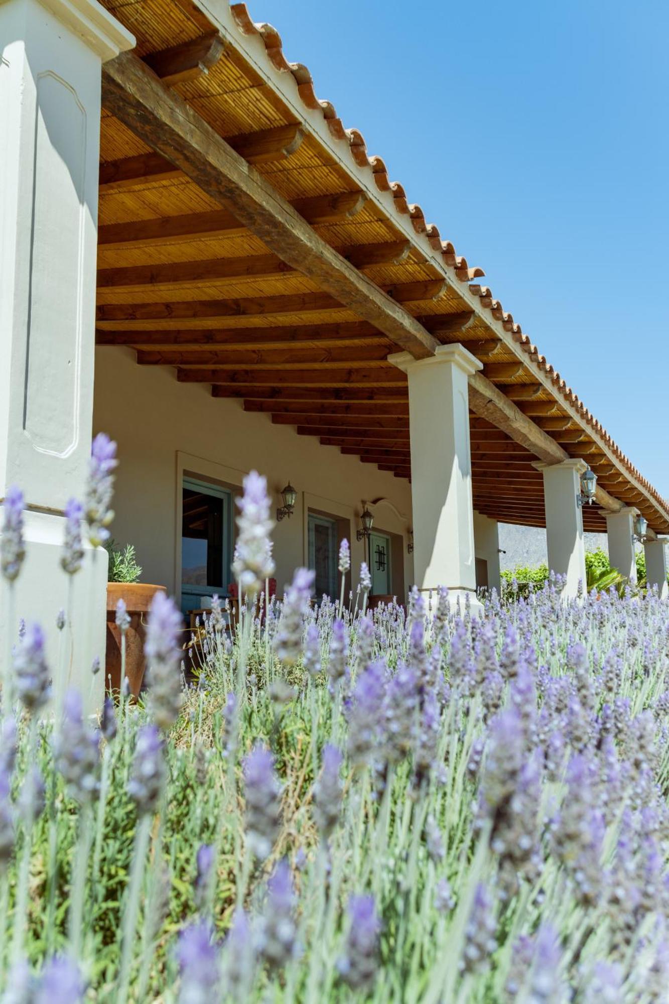 El Porvenir Wine Lodge 卡法亚特 外观 照片