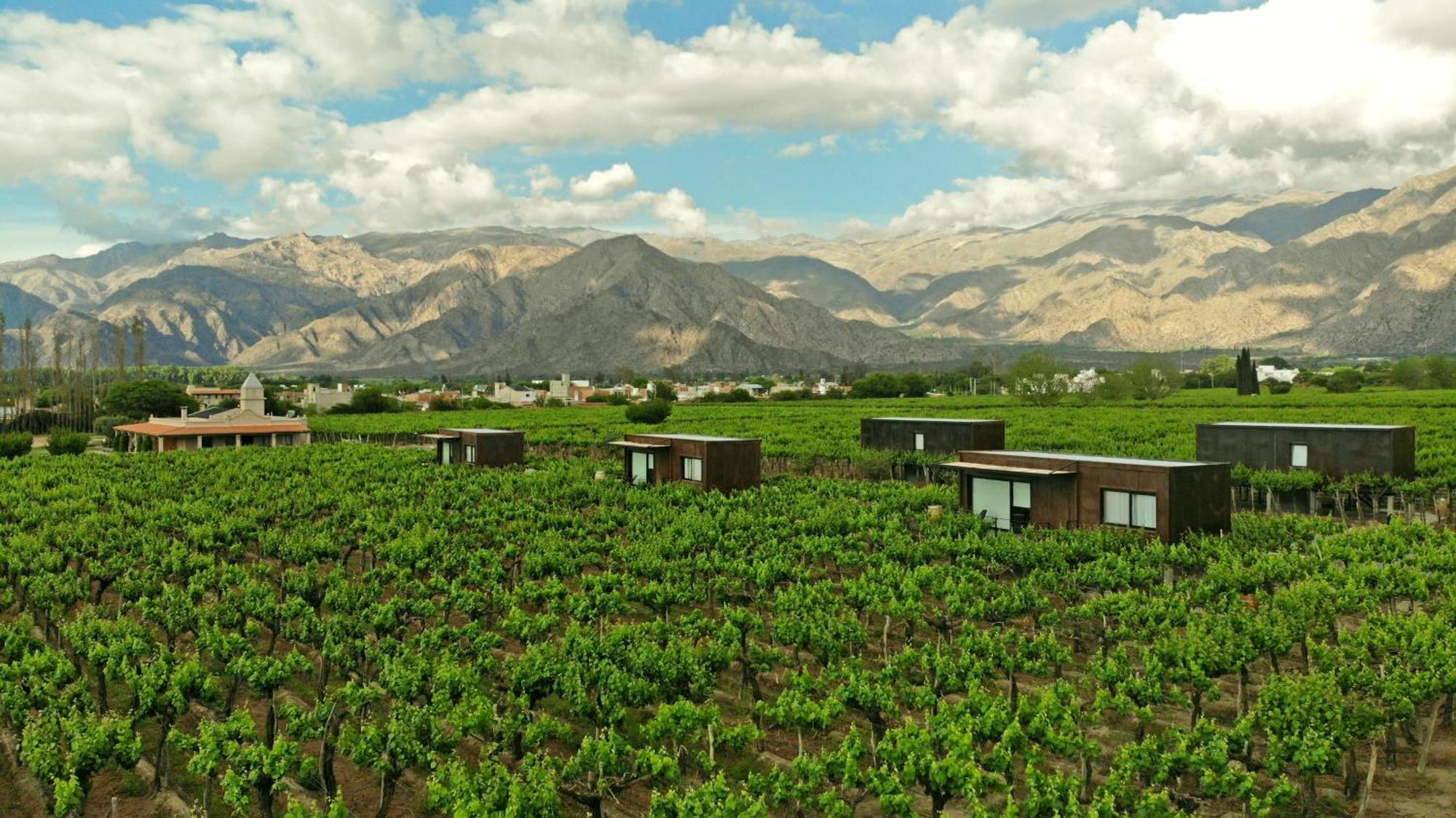 El Porvenir Wine Lodge 卡法亚特 外观 照片