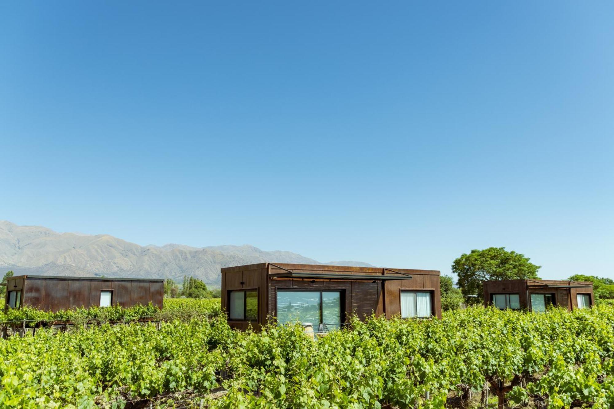 El Porvenir Wine Lodge 卡法亚特 外观 照片