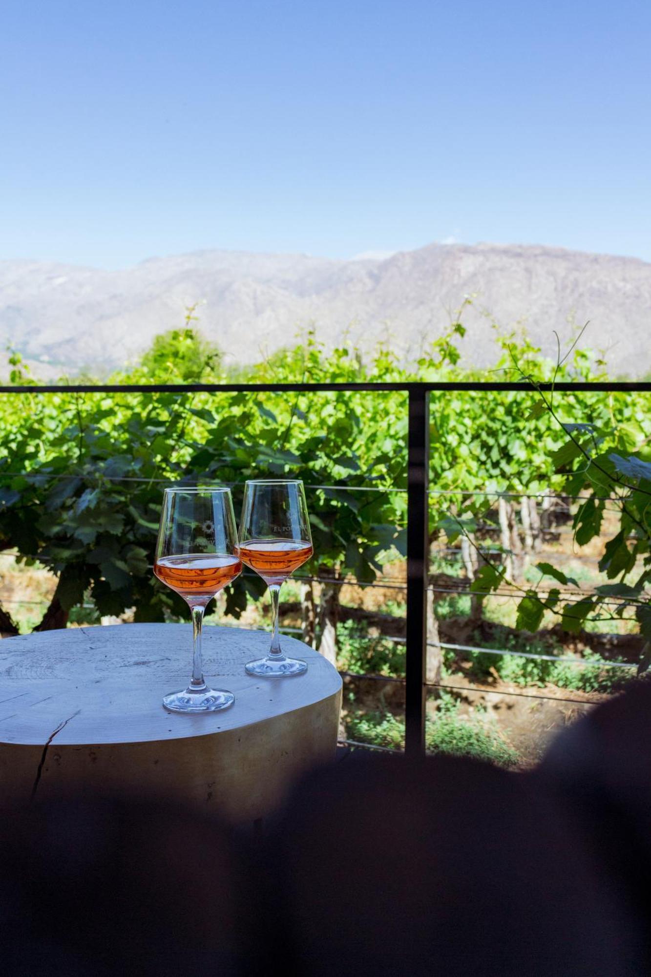 El Porvenir Wine Lodge 卡法亚特 外观 照片