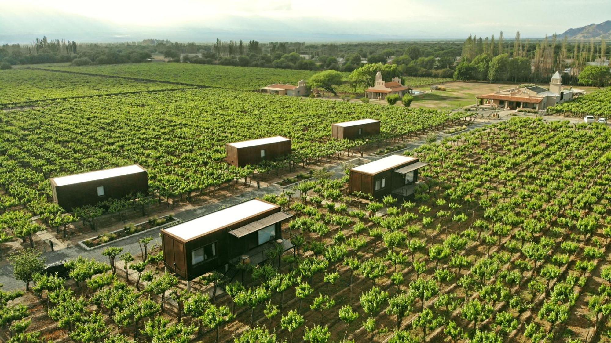 El Porvenir Wine Lodge 卡法亚特 外观 照片