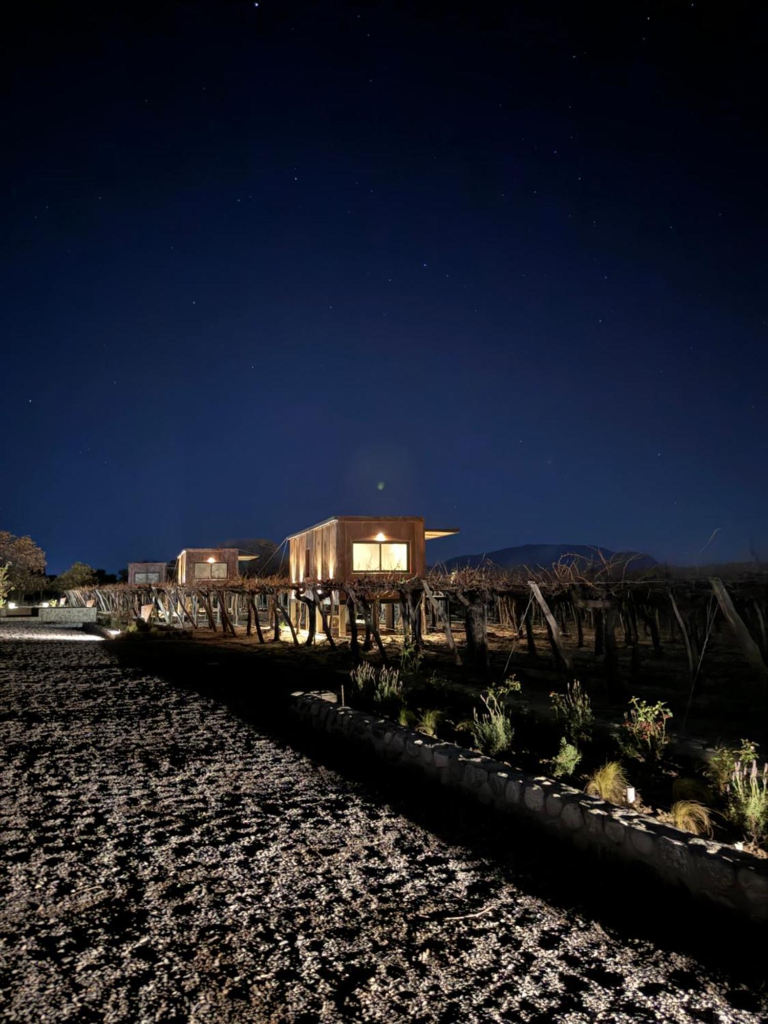 El Porvenir Wine Lodge 卡法亚特 外观 照片