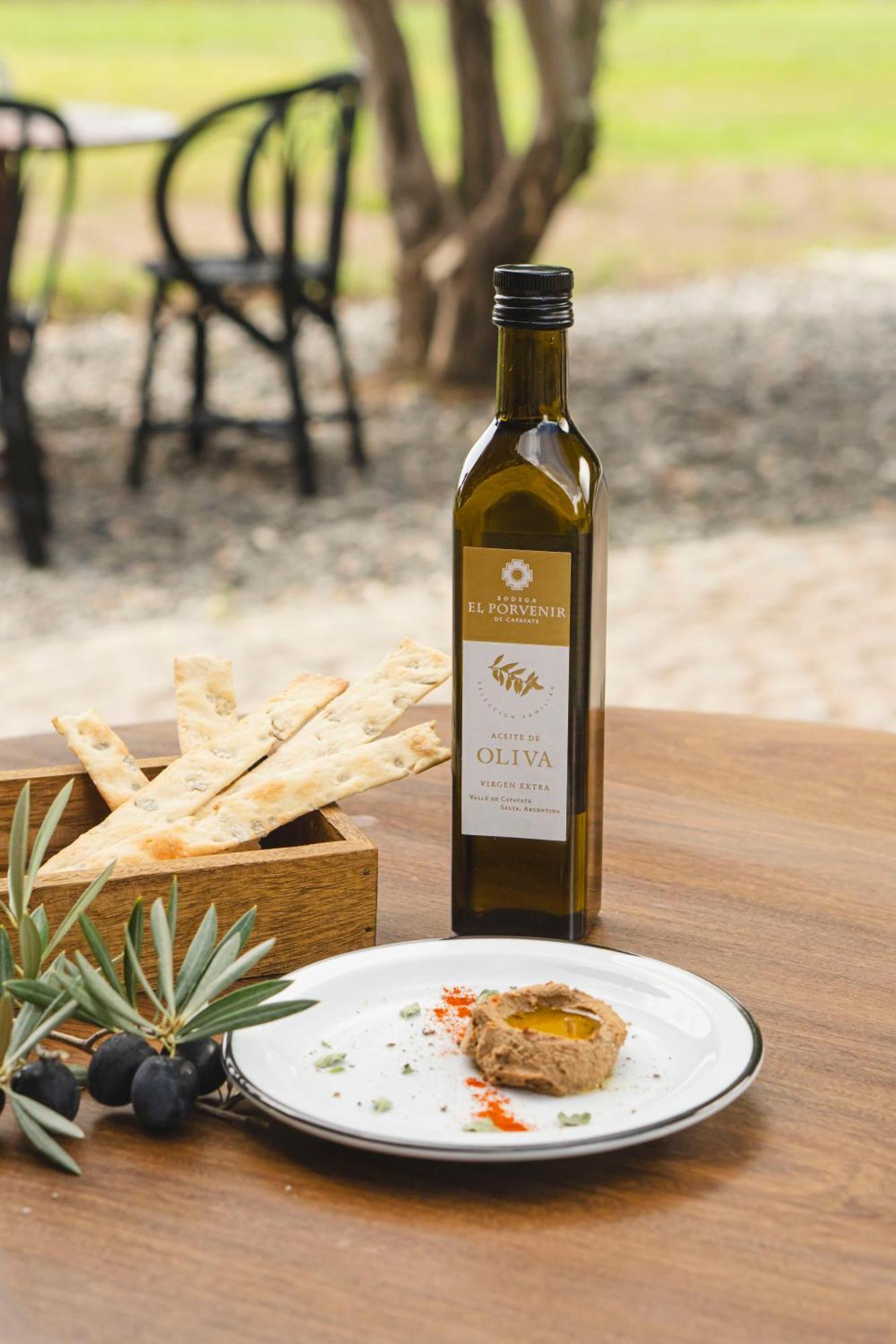 El Porvenir Wine Lodge 卡法亚特 外观 照片